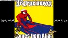 كلب القرف 😎