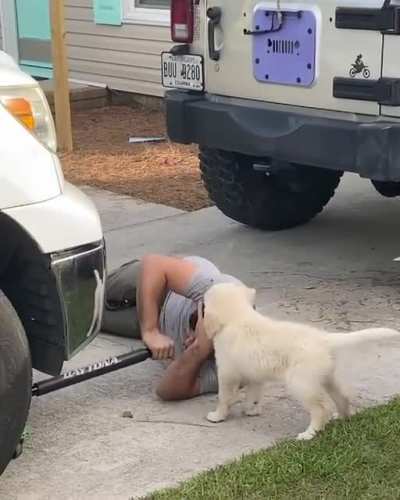 woof irl