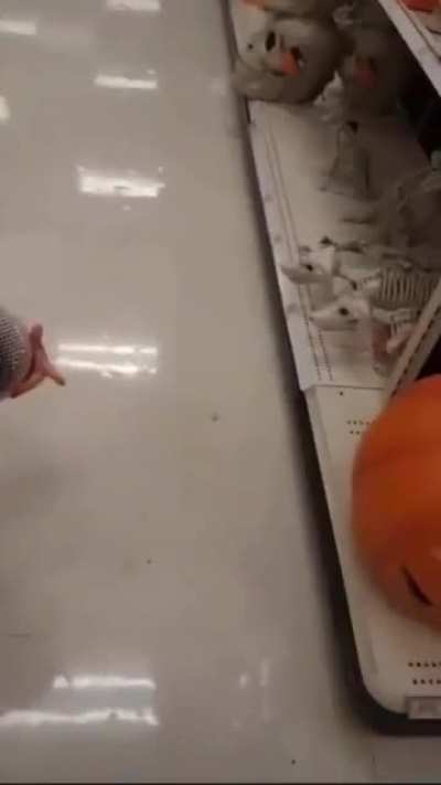 His reaction to the puppy skeletons