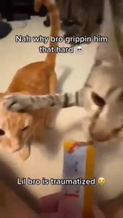 Little jerk wants ALL the treats