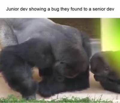 Monke