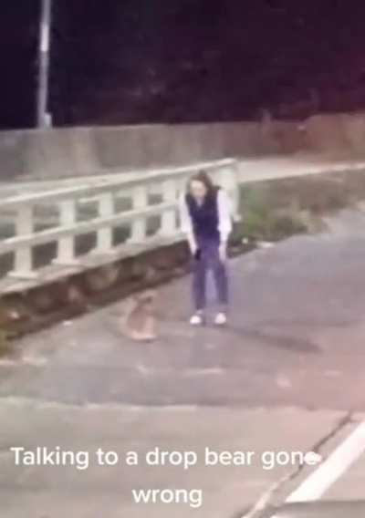 WCGW talking to a Koala