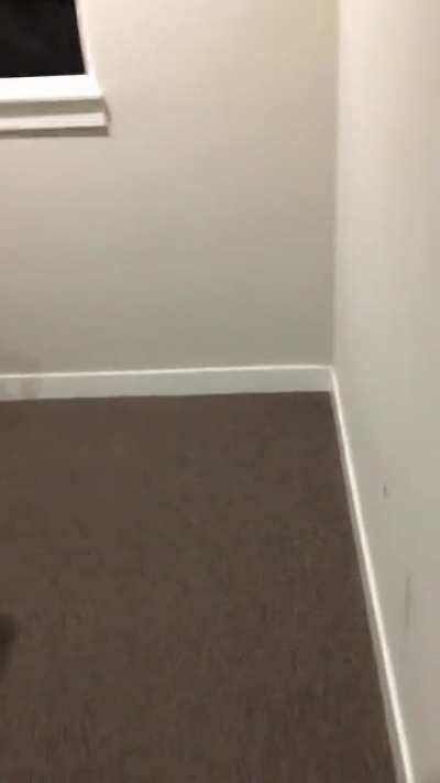 What’s at the bottom of the stairs?