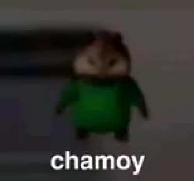 Cham oy