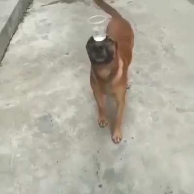 Equilíbrio apenas