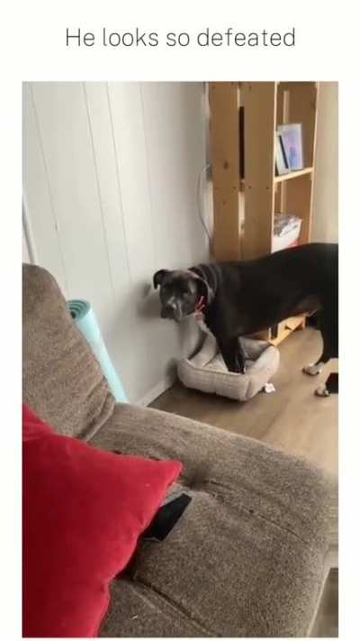 his eyes said it all