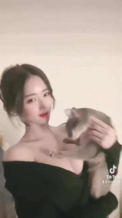 Cat is on heaven