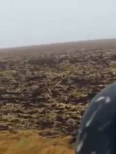 Deer fails a jump and snaps its neck