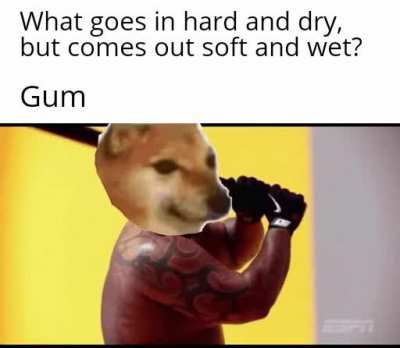 No BONK this time cuz dad joke