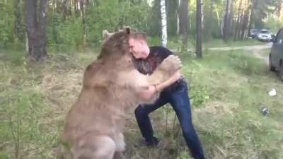 Just a normal guy playing with a bear
