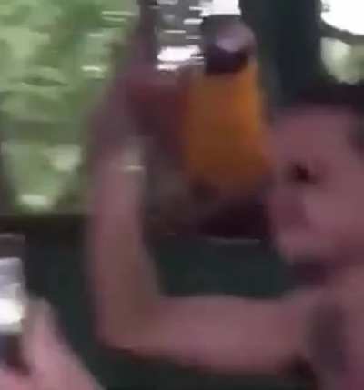 parrot on the rave