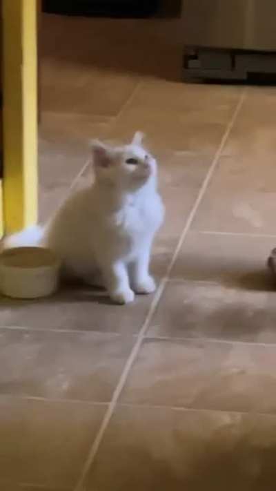 He’s hungry!