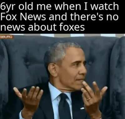 Furry_irl