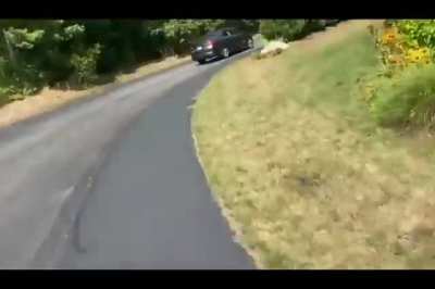 Bread boys running after car
