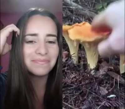 Кажется знако<wbr>мым :)