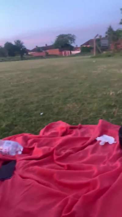 our picnic got a little messy