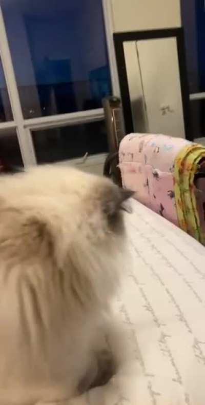 Doing her best to yell, can only whisper