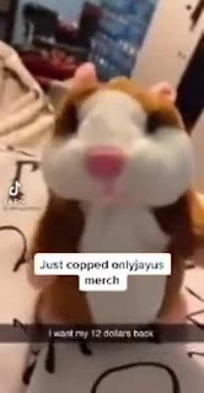 onlyGAYus