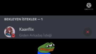 😿