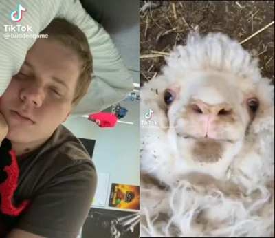 Waking up to your face