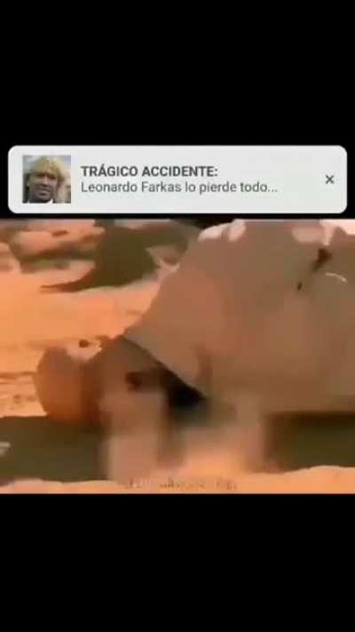 Sadge