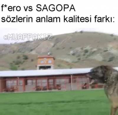Popüler kültür kölelerinden linç yiyecegimi biliyorum ama yine paylaşayım dedim