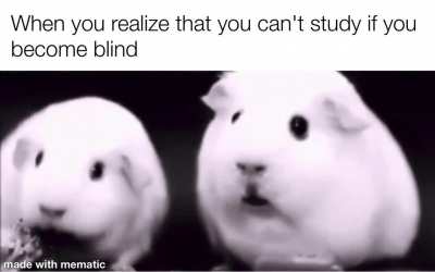 I'm so intelligent
