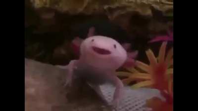 Dragonspyre's Music is so overdramatic, I adore it.