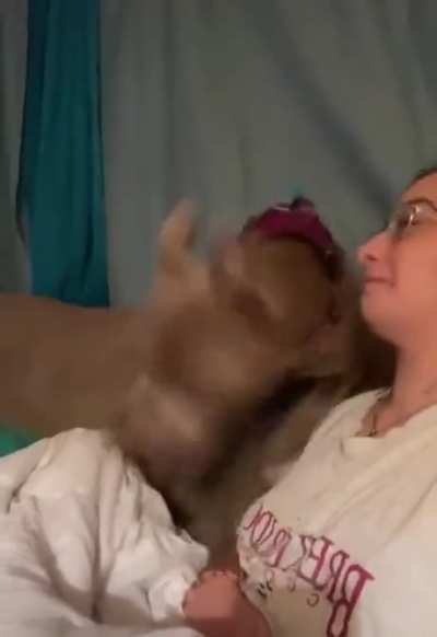 Bark at your dog
