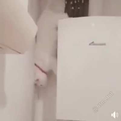 I can't stop watching