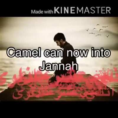 my first ☝ camel جمل مضحكة funny 🐪sex 😛 video