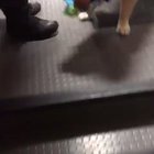 Police Therapy Dog named Ben helped himself from one of the toys donated at the Franklin PD... as far they're concerned the baby is now his