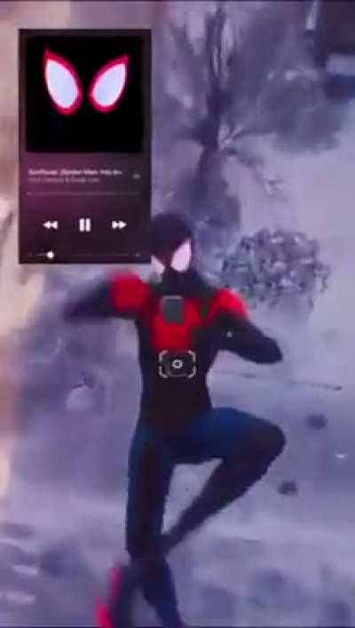 🕷️🕸️
