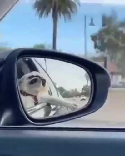 Just the Two of Us