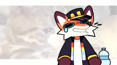 furry_irl