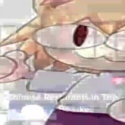 this fucking cat its so fucking funny