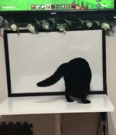 Greebles 1 - Cat 0