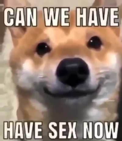 Please