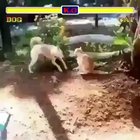 Place your bets!