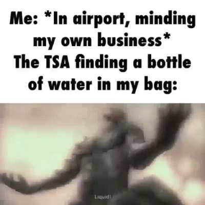 wtf is the TSA