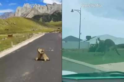 Прачктически один в один