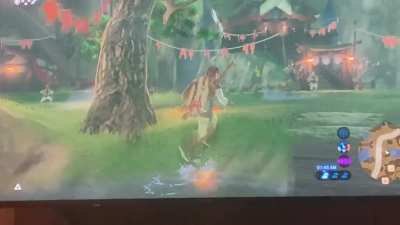 I present to you… Link and the Magic Chicken!
