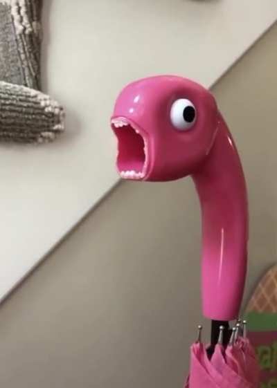Flamingos, man. They really scream.