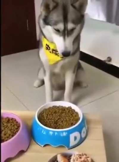 Not very impressed