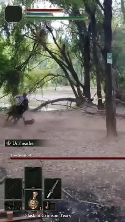 meanwhile, in the lands between of chile