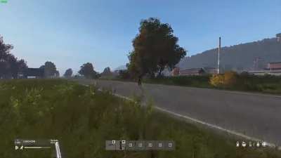 Cursed DayZ