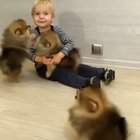 Pure happiness doesn't ex-