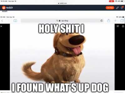 I fucking saved the image