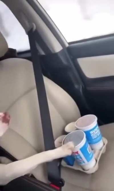When your dog knows what kind of driver you are.