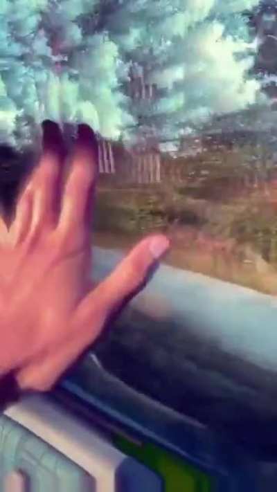 Train Rides Be Like